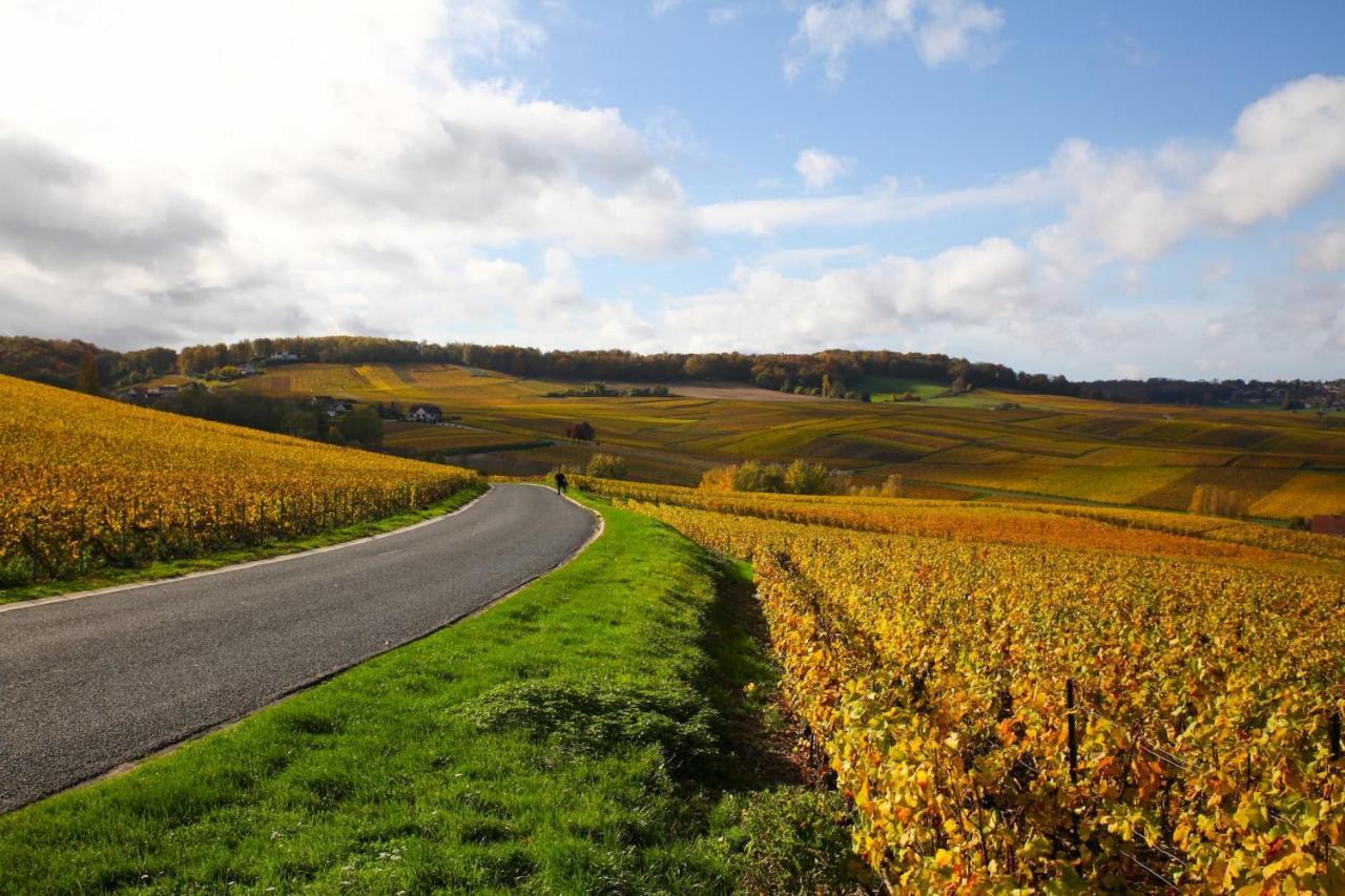 Hostellerie Briqueterie & Spa Champagne Vinay  Екстериор снимка Vineyards in the Moselle valley